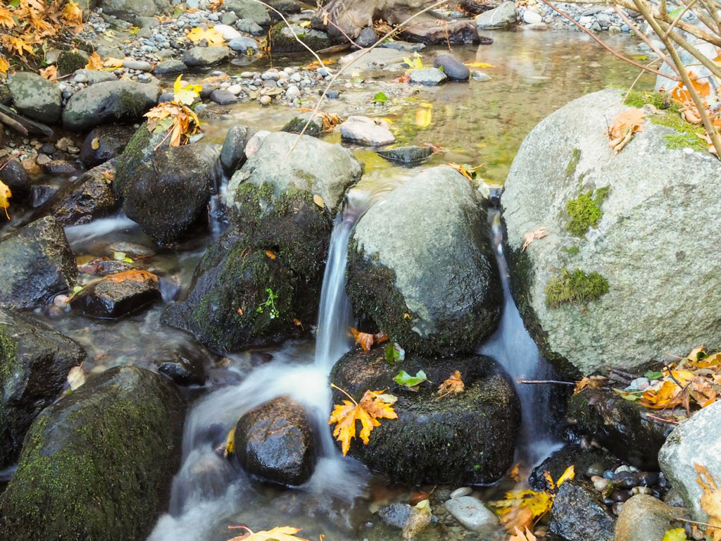 健康的溪流是由水池和溪流交替排列而成的。